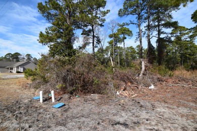Fairfield Harbour, New Bern NC. Move into this gated community on Harbour Point Golf Club in North Carolina - for sale on GolfHomes.com, golf home, golf lot