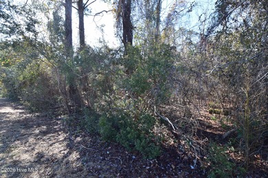 Fairfield Harbour, New Bern NC. Move into this gated community on Harbour Point Golf Club in North Carolina - for sale on GolfHomes.com, golf home, golf lot