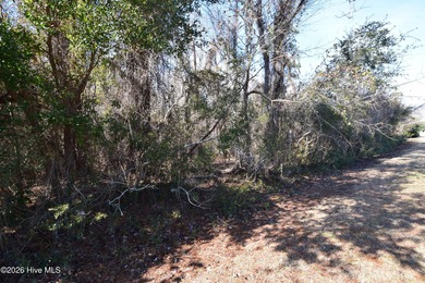 Fairfield Harbour, New Bern NC. Move into this gated community on Harbour Point Golf Club in North Carolina - for sale on GolfHomes.com, golf home, golf lot