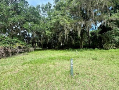 Beautiful Corner Lot in Cooper's Point, close to the dock, not on Sapelo Hammock Golf Club in Georgia - for sale on GolfHomes.com, golf home, golf lot