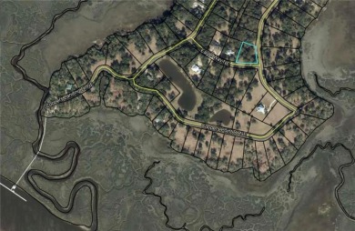 Beautiful Corner Lot in Cooper's Point, close to the dock, not on Sapelo Hammock Golf Club in Georgia - for sale on GolfHomes.com, golf home, golf lot