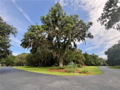 Beautiful Corner Lot in Cooper's Point, close to the dock, not on Sapelo Hammock Golf Club in Georgia - for sale on GolfHomes.com, golf home, golf lot