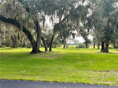 Beautiful Corner Lot in Cooper's Point, close to the dock, not on Sapelo Hammock Golf Club in Georgia - for sale on GolfHomes.com, golf home, golf lot
