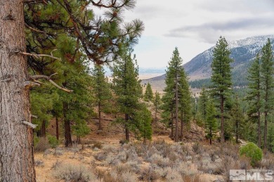 Ideal building opportunity in the upscale gated community of on Clear Creek Tahoe in Nevada - for sale on GolfHomes.com, golf home, golf lot