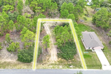 Build Your Dream Home on this Prime 10,000 sq ft Lot in Citrus on Citrus Springs Country Club in Florida - for sale on GolfHomes.com, golf home, golf lot