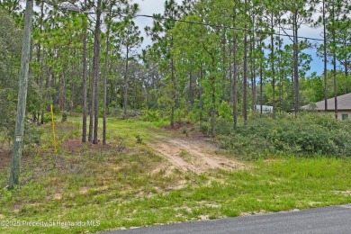 Build Your Dream Home on this Prime 10,000 sq ft Lot in Citrus on Citrus Springs Country Club in Florida - for sale on GolfHomes.com, golf home, golf lot