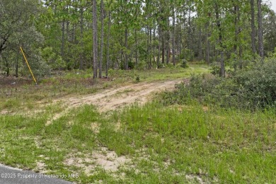 Build Your Dream Home on this Prime 10,000 sq ft Lot in Citrus on Citrus Springs Country Club in Florida - for sale on GolfHomes.com, golf home, golf lot