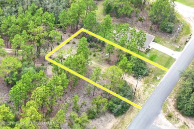 Build Your Dream Home on this Prime 10,000 sq ft Lot in Citrus on Citrus Springs Country Club in Florida - for sale on GolfHomes.com, golf home, golf lot
