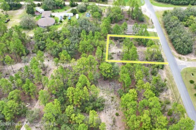 Build Your Dream Home on this Prime 10,000 sq ft Lot in Citrus on Citrus Springs Country Club in Florida - for sale on GolfHomes.com, golf home, golf lot