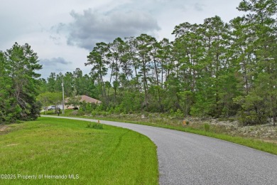 Serene 0.58-Acre Homesite in Citrus Springs - Ready for Your on Citrus Springs Country Club in Florida - for sale on GolfHomes.com, golf home, golf lot