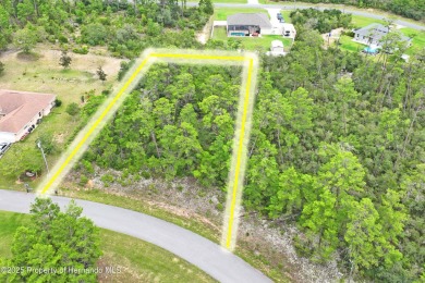 Serene 0.58-Acre Homesite in Citrus Springs - Ready for Your on Citrus Springs Country Club in Florida - for sale on GolfHomes.com, golf home, golf lot