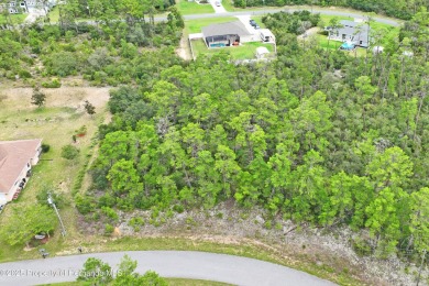 Serene 0.58-Acre Homesite in Citrus Springs - Ready for Your on Citrus Springs Country Club in Florida - for sale on GolfHomes.com, golf home, golf lot