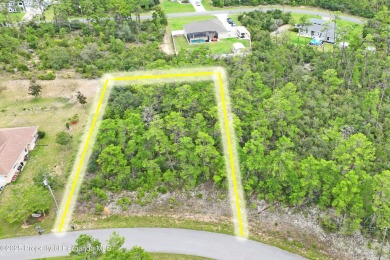 Serene 0.58-Acre Homesite in Citrus Springs - Ready for Your on Citrus Springs Country Club in Florida - for sale on GolfHomes.com, golf home, golf lot