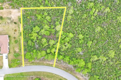 Serene 0.58-Acre Homesite in Citrus Springs - Ready for Your on Citrus Springs Country Club in Florida - for sale on GolfHomes.com, golf home, golf lot