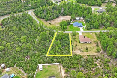 Serene 0.58-Acre Homesite in Citrus Springs - Ready for Your on Citrus Springs Country Club in Florida - for sale on GolfHomes.com, golf home, golf lot