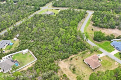 Serene 0.58-Acre Homesite in Citrus Springs - Ready for Your on Citrus Springs Country Club in Florida - for sale on GolfHomes.com, golf home, golf lot