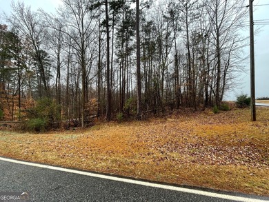 Lot 954 boasts an enviable location, overlooking the 11th green on The Trail At Chickasaw Pointe in South Carolina - for sale on GolfHomes.com, golf home, golf lot