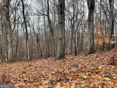 Nestled in the picturesque foothills of the Blue Ridge Mountains on The Trail At Chickasaw Pointe in South Carolina - for sale on GolfHomes.com, golf home, golf lot