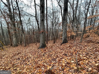 Nestled in the picturesque foothills of the Blue Ridge Mountains on The Trail At Chickasaw Pointe in South Carolina - for sale on GolfHomes.com, golf home, golf lot