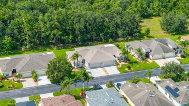 UPDATED, MOVE-IN-READY, MAINTENANCE-FREE VILLA ON A PRIVATE on Tampa Bay Golf and Country Club in Florida - for sale on GolfHomes.com, golf home, golf lot
