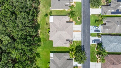 UPDATED, MOVE-IN-READY, MAINTENANCE-FREE VILLA ON A PRIVATE on Tampa Bay Golf and Country Club in Florida - for sale on GolfHomes.com, golf home, golf lot