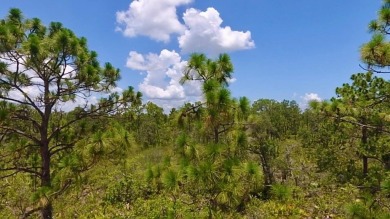 Build Your Dream Home in a Gated Golf  Lakefront Community! on Indian Lake Estates Golf and Country Club in Florida - for sale on GolfHomes.com, golf home, golf lot