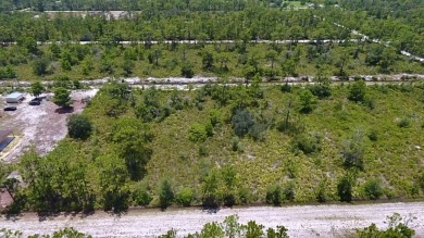 Build Your Dream Home in a Gated Golf  Lakefront Community! on Indian Lake Estates Golf and Country Club in Florida - for sale on GolfHomes.com, golf home, golf lot