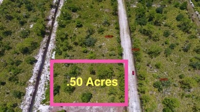 Build Your Dream Home in a Gated Golf  Lakefront Community! on Indian Lake Estates Golf and Country Club in Florida - for sale on GolfHomes.com, golf home, golf lot