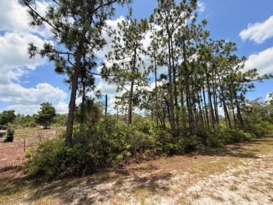 Build Your Dream Home in a Gated Golf  Lakefront Community! on Indian Lake Estates Golf and Country Club in Florida - for sale on GolfHomes.com, golf home, golf lot