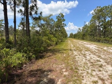Build Your Dream Home in a Gated Golf  Lakefront Community! on Indian Lake Estates Golf and Country Club in Florida - for sale on GolfHomes.com, golf home, golf lot