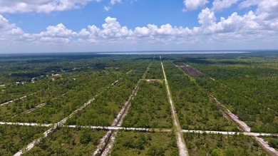 Build Your Dream Home in a Gated Golf  Lakefront Community! on Indian Lake Estates Golf and Country Club in Florida - for sale on GolfHomes.com, golf home, golf lot