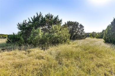 Nestled within the serene and exclusive White Bluff Resort, this on White Bluff Resort - Old Course in Texas - for sale on GolfHomes.com, golf home, golf lot