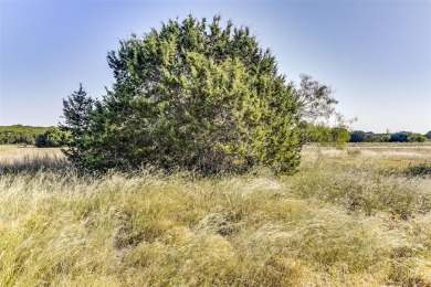 Nestled within the serene and exclusive White Bluff Resort, this on White Bluff Resort - Old Course in Texas - for sale on GolfHomes.com, golf home, golf lot