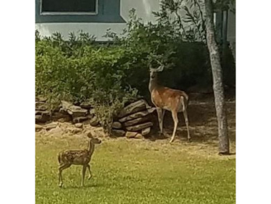 2 Corner lots with Mature Oak trees. Great building site .66 of on Nocona Hills Golf Course in Texas - for sale on GolfHomes.com, golf home, golf lot