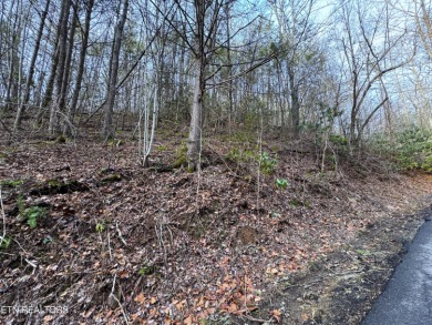 Seller says make an offer! 1+ acre Lot in the beautiful and on Bent Creek Golf Course in Tennessee - for sale on GolfHomes.com, golf home, golf lot