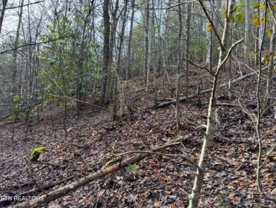 Seller says make an offer! 1+ acre Lot in the beautiful and on Bent Creek Golf Course in Tennessee - for sale on GolfHomes.com, golf home, golf lot