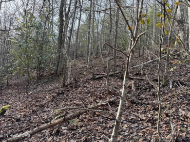 Seller says make an offer! 1+ acre Lot in the beautiful and on Bent Creek Golf Course in Tennessee - for sale on GolfHomes.com, golf home, golf lot