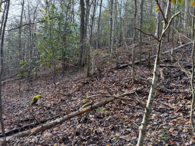 Seller says make an offer! 1+ acre Lot in the beautiful and on Bent Creek Golf Course in Tennessee - for sale on GolfHomes.com, golf home, golf lot