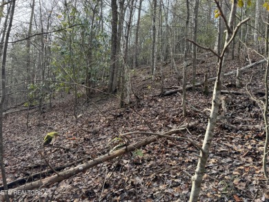 Seller says make an offer! 1+ acre Lot in the beautiful and on Bent Creek Golf Course in Tennessee - for sale on GolfHomes.com, golf home, golf lot