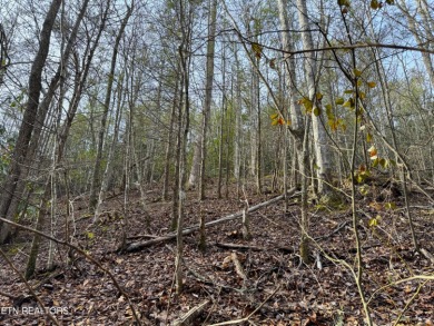 Seller says make an offer! 1+ acre Lot in the beautiful and on Bent Creek Golf Course in Tennessee - for sale on GolfHomes.com, golf home, golf lot