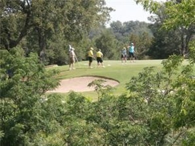 Elbow room on this larger lote enjoy all the fun times and make on White Bluff Resort - Old Course in Texas - for sale on GolfHomes.com, golf home, golf lot