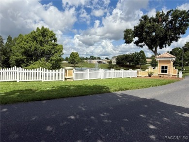 Resort Style Living! Move right in to Brentwood in the Villages on Brentwood Farms Golf Club in Florida - for sale on GolfHomes.com, golf home, golf lot