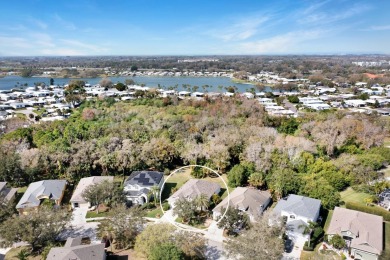 REMODELED AND MAINTAINED METICULOUSLY, SHOWS LIKE A MODEL HOME on Imperial Lakewoods Golf Club in Florida - for sale on GolfHomes.com, golf home, golf lot