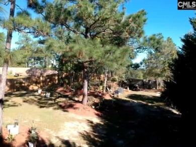 Welcome home to beautiful Lake Frances! This gem of a house has on Indian River Golf Club in South Carolina - for sale on GolfHomes.com, golf home, golf lot