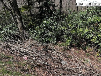 Great lot in the town of Beech Mountain. This lot has a short on Beech Mountain Club in North Carolina - for sale on GolfHomes.com, golf home, golf lot