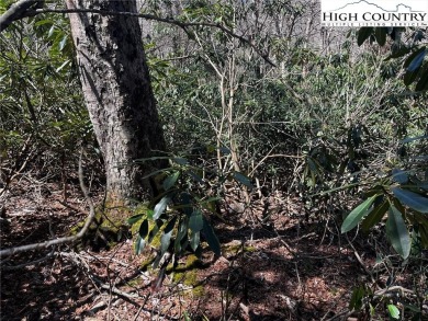 Great lot in the town of Beech Mountain. This lot has a short on Beech Mountain Club in North Carolina - for sale on GolfHomes.com, golf home, golf lot