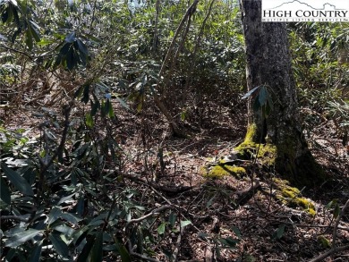 Great lot in the town of Beech Mountain. This lot has a short on Beech Mountain Club in North Carolina - for sale on GolfHomes.com, golf home, golf lot