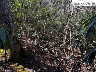 Great lot in the town of Beech Mountain. This lot has a short on Beech Mountain Club in North Carolina - for sale on GolfHomes.com, golf home, golf lot
