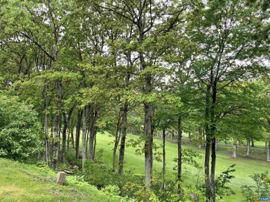 Welcome to your dream mountain retreat! This newly renovated on Devils Knob in Virginia - for sale on GolfHomes.com, golf home, golf lot