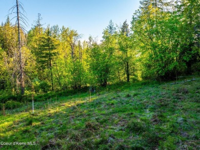 Discover Lot F10--an exceptional 0.9-acre opportunity in the on The Idaho Club in Idaho - for sale on GolfHomes.com, golf home, golf lot